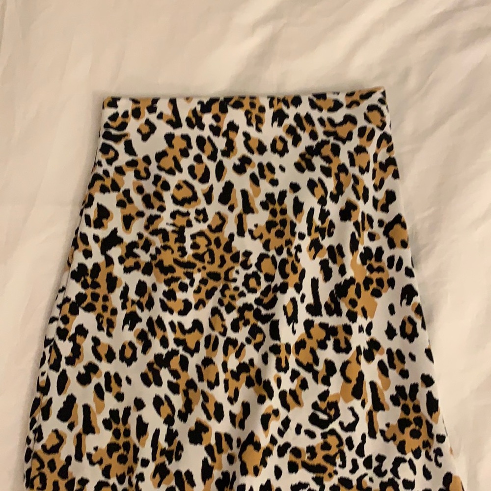 Babaton Slip Skirt